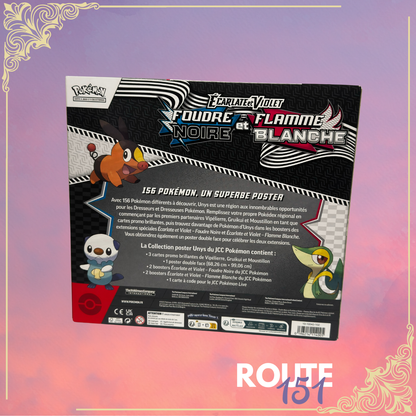 Coffret Collection Poster - Foudre Noire & Flamme Blanche