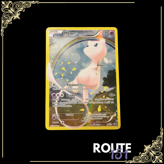 XY110 Mew
