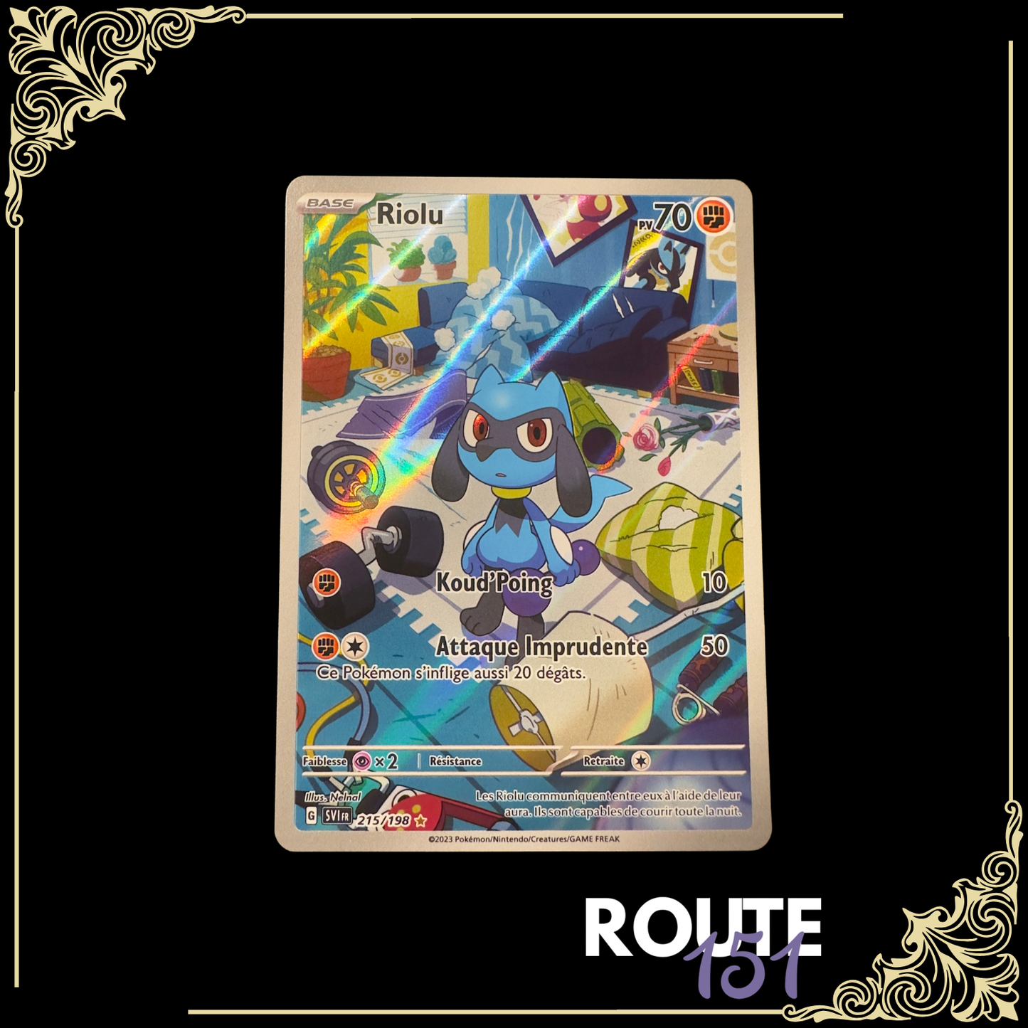 215/198 Riolu