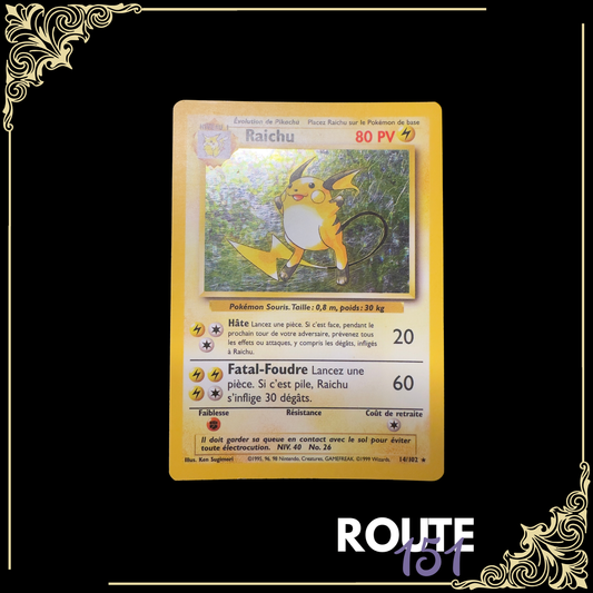 14/102 Raichu