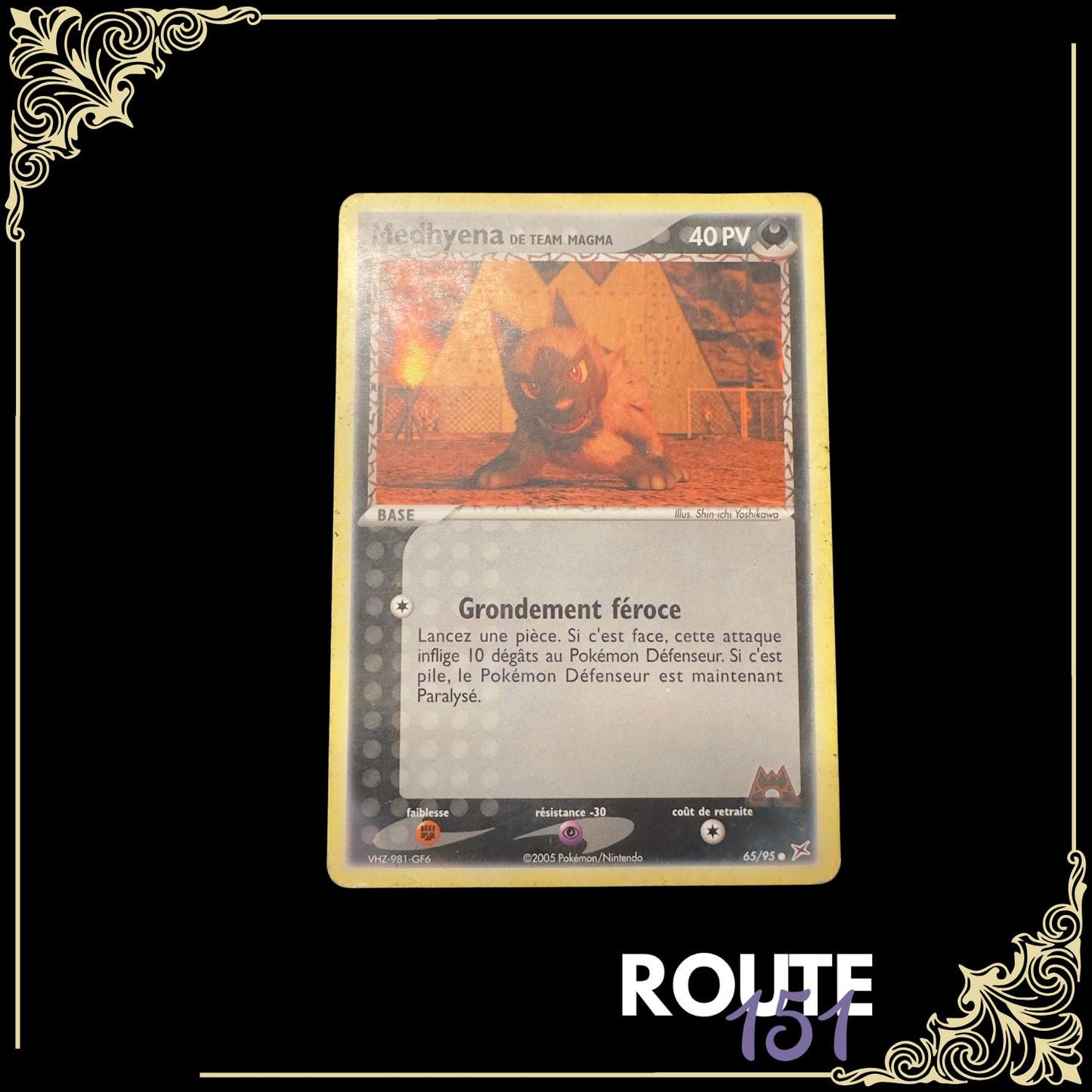 65/95 Medhyena