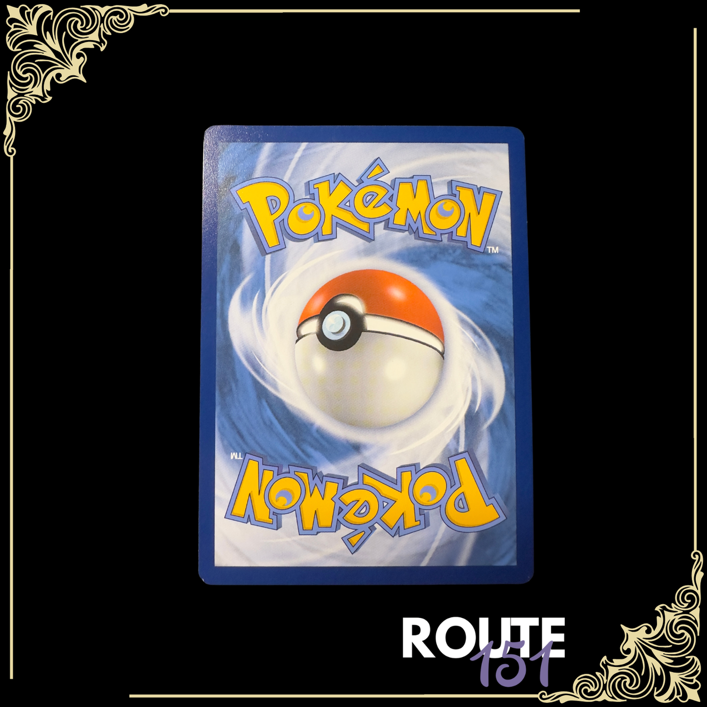 215/198 Riolu