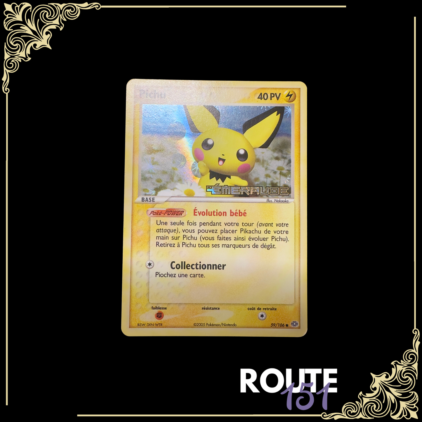 59/106 Pichu