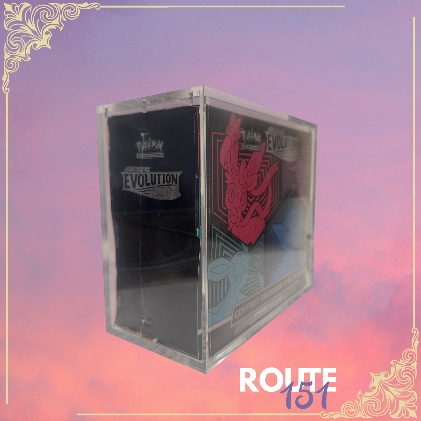 Coffret Dresseur d'Élite - EB07 - Évolution Céleste + acrylique